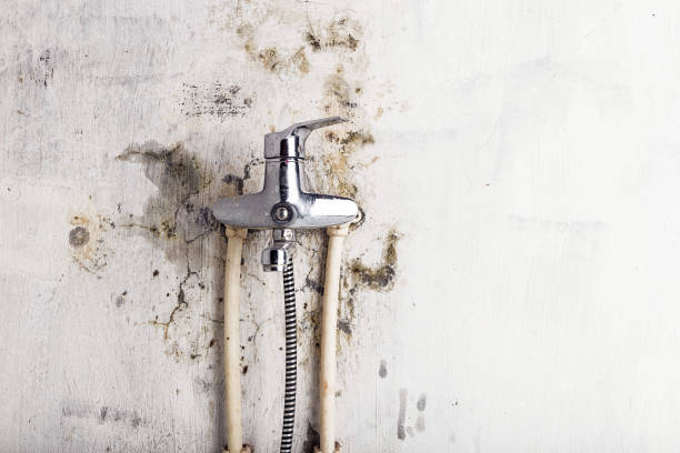 Best Residential Mold Removal  in Fairplains, NC