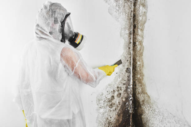 Best Water Damage Restoration  in Fairplains, NC