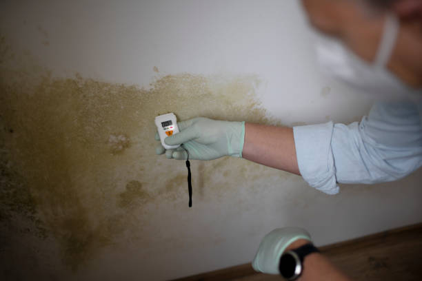Best Crawl Space Mold Removal  in Fairplains, NC